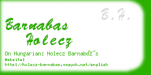barnabas holecz business card